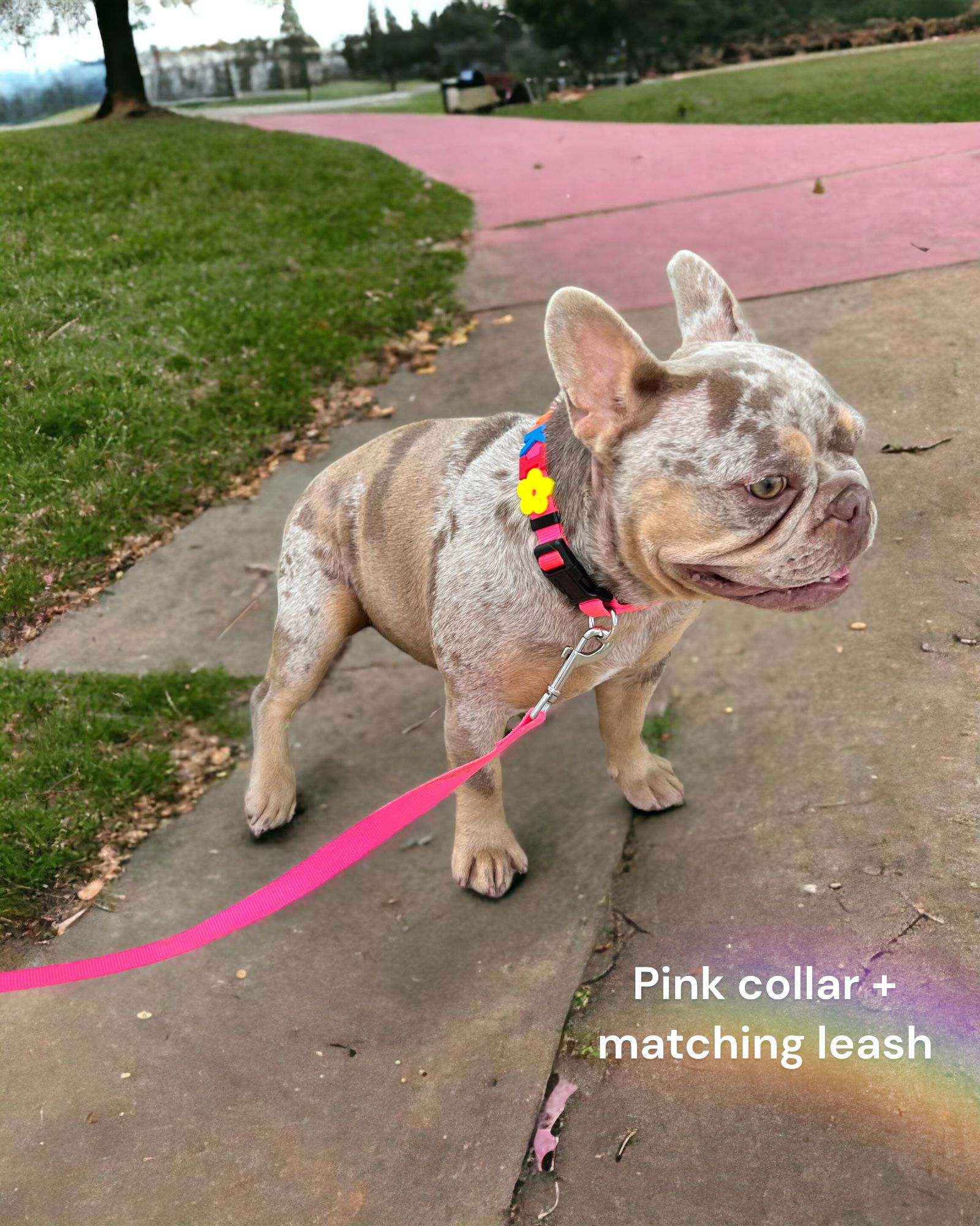 Small Keychain that Matches Your Dog's Collar and Leash